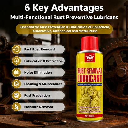 Anti-Rust Lubricant Spray & Rust Remover