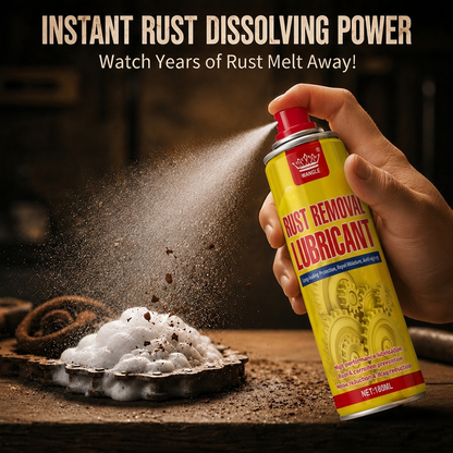 Anti-Rust Lubricant Spray & Rust Remover